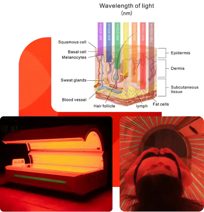 MERICAN M6NPlus Radiance Red Light Therapy Bed, Full-Body Healing & Recovery