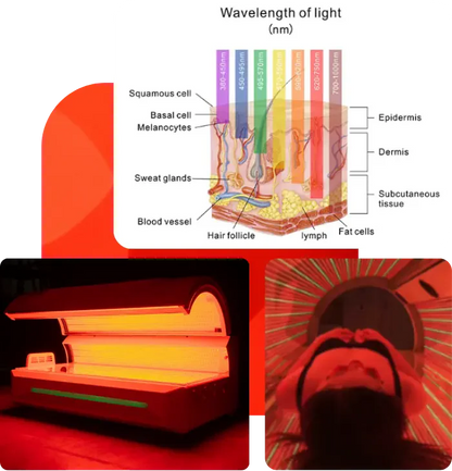 MERICAN M6NPlus Radiance Red Light Therapy Bed, Full-Body Healing & Recovery